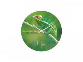 Часы настенные Nicole Time NT503 в Ленинском - leninskij.mebel-nsk.ru | фото